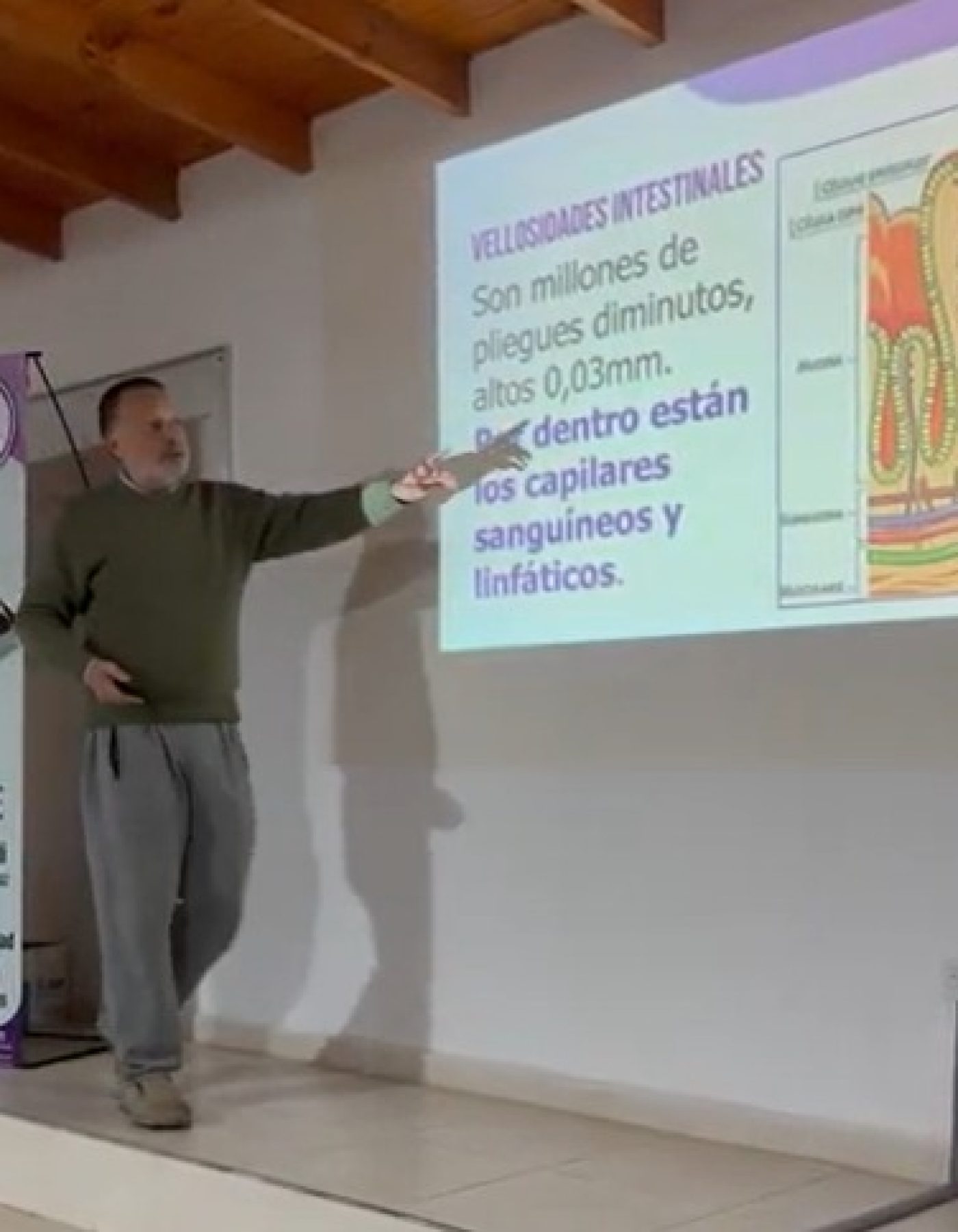 Nestor en acción