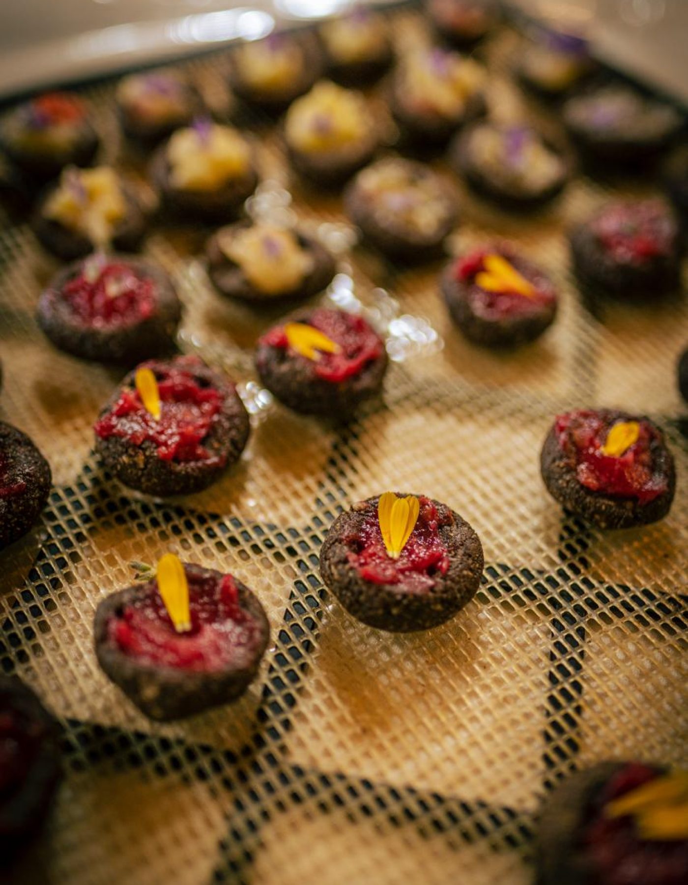 WhatsApp Image 2025-12-20 at 10.20.27 (2)