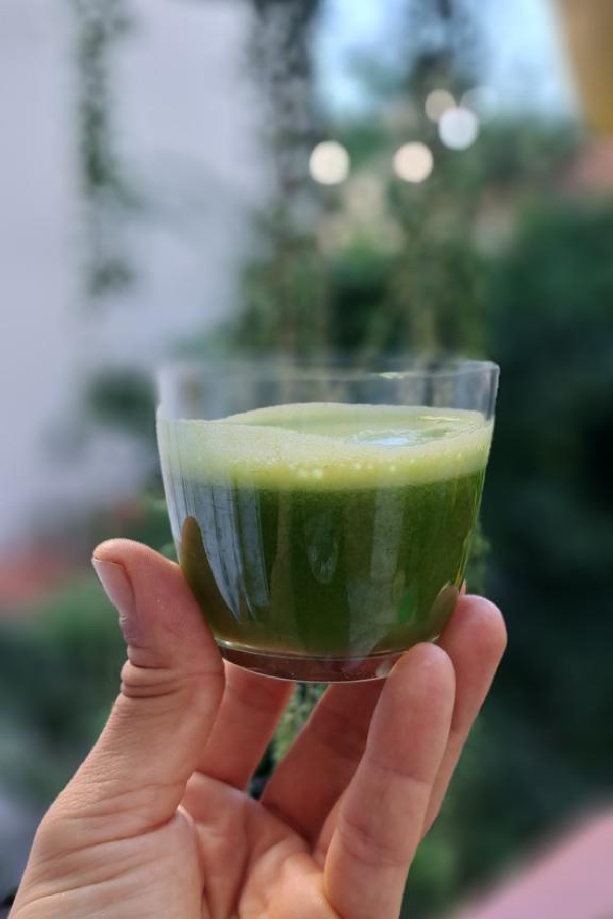 WhatsApp Image 2025-12-20 at 10.36.45